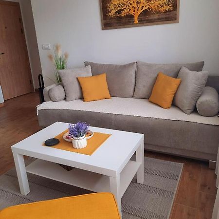 Bankovic Apartman Vrnjačka Banja Екстериор снимка