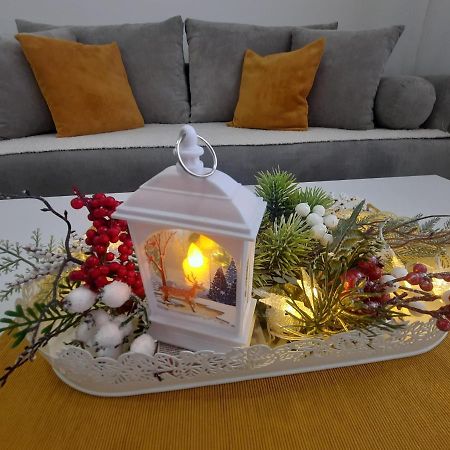 Bankovic Apartman Vrnjačka Banja Екстериор снимка