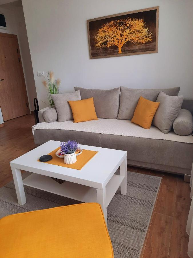 Bankovic Apartman Vrnjačka Banja Екстериор снимка